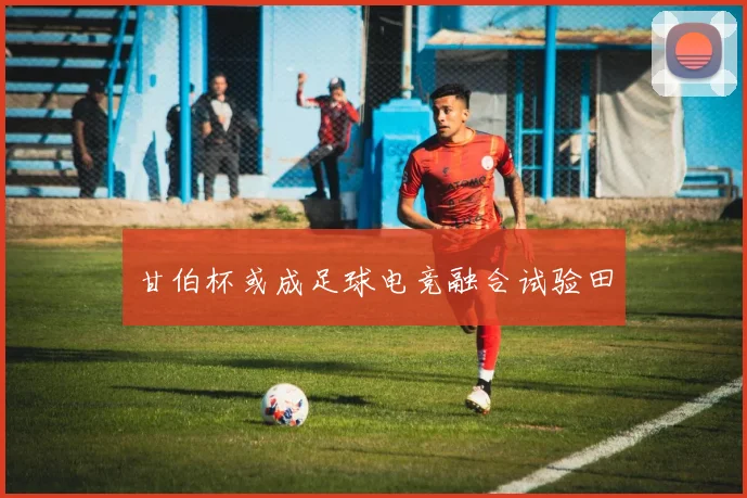 甘伯杯或成足球电竞融合试验田