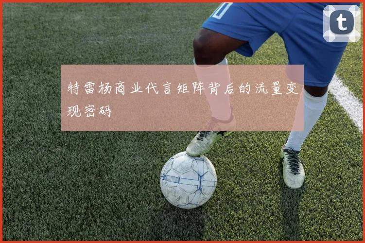 特雷杨商业代言矩阵背后的流量变现密码